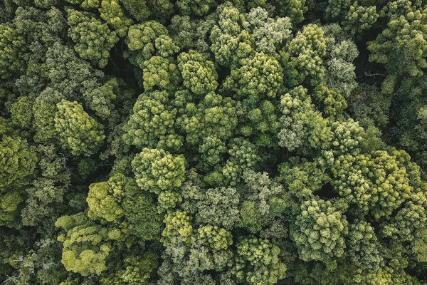 Panneau solaire photovoltaïque : rénovations pour un avenir vert